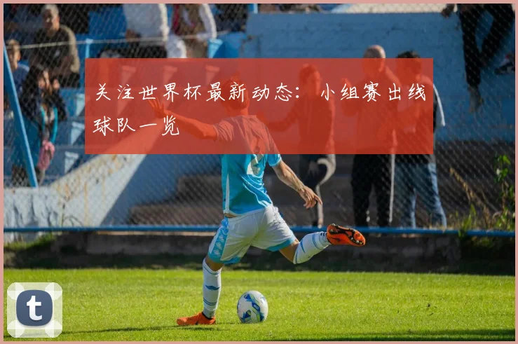 关注世界杯最新动态：小组赛出线球队一览