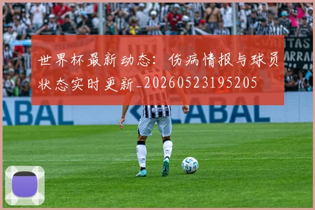 世界杯最新动态：伤病情报与球员状态实时更新_20260523195205