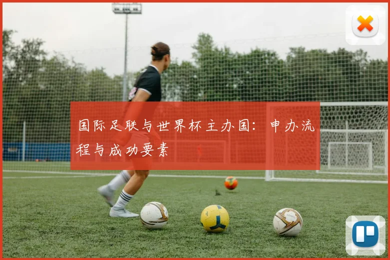 国际足联与世界杯主办国：申办流程与成功要素
